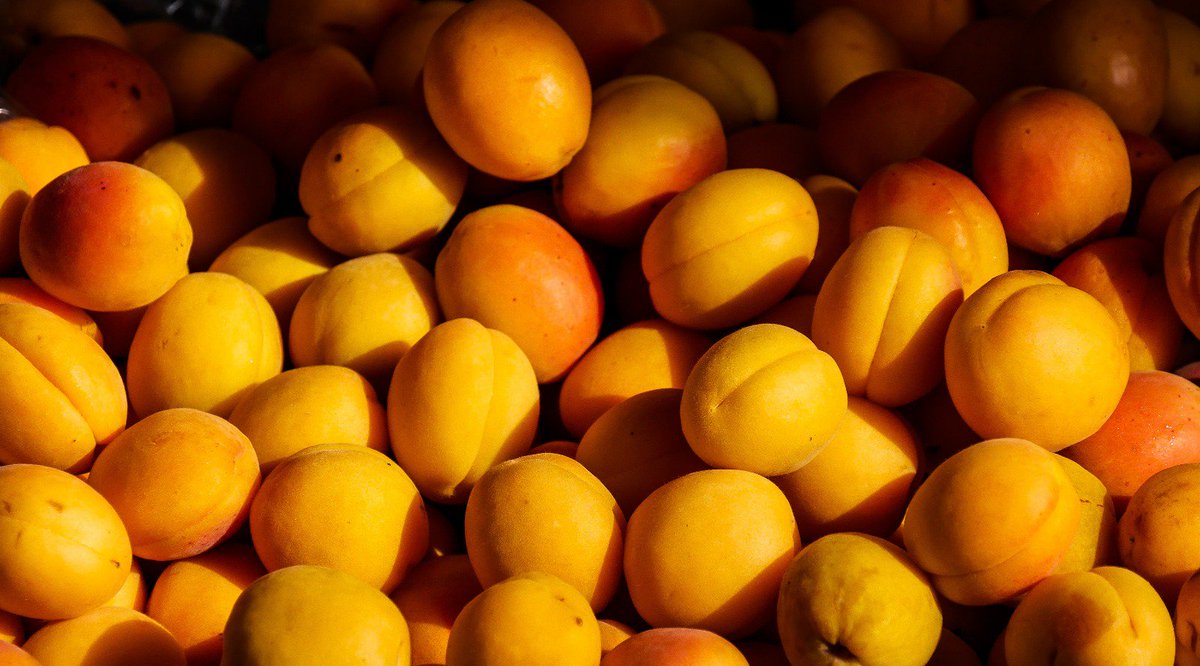 InfoAgrocitrus's tweet photo. AGROCITRUS STONE FRUIT CAMPAIGN - 2018

At the very beginning of 2018 stone fruit campaign Agrocitrus Consortium is engaged to offer a wider range of Portuguese, Spanish as well as Italian stone fruit .

For further info please go through our link 

https://t.co/VSuzOilAzx https://t.co/jauB13Dh9c