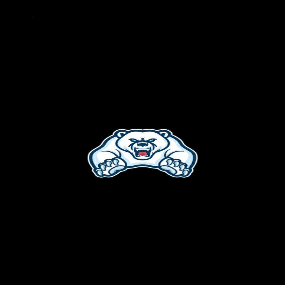 CompCertified's tweet photo. Logos anyone for price https://t.co/0OZ8O6vXkh
