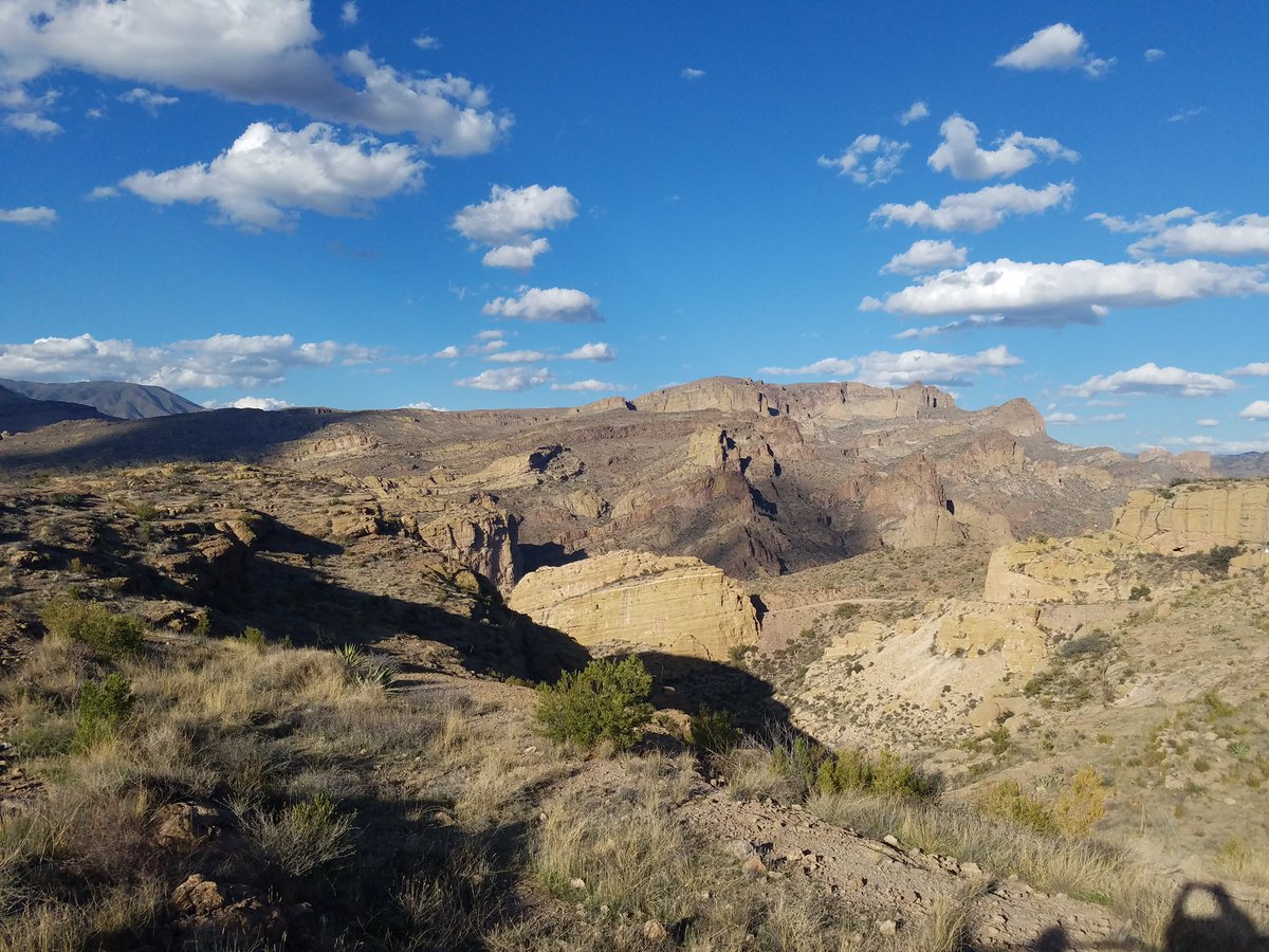 nhbosoxfan's tweet photo. A few shots from last month's vacation....these are from Tonto National Forest. I think I love #ArizonaInTheSpring https://t.co/SVnIHLlNLO