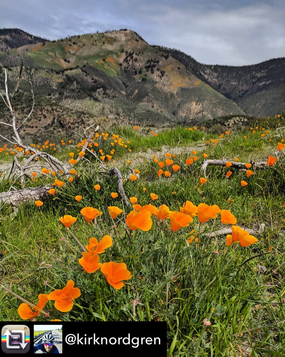 SYnezChamber's tweet photo. Figueroa Mountain a cyclist challenge. Kirk@CTS can get you there #CarmichaelTrainingSystems #santaynezvalley #santaynezchamber https://t.co/cdwwJTK1PU