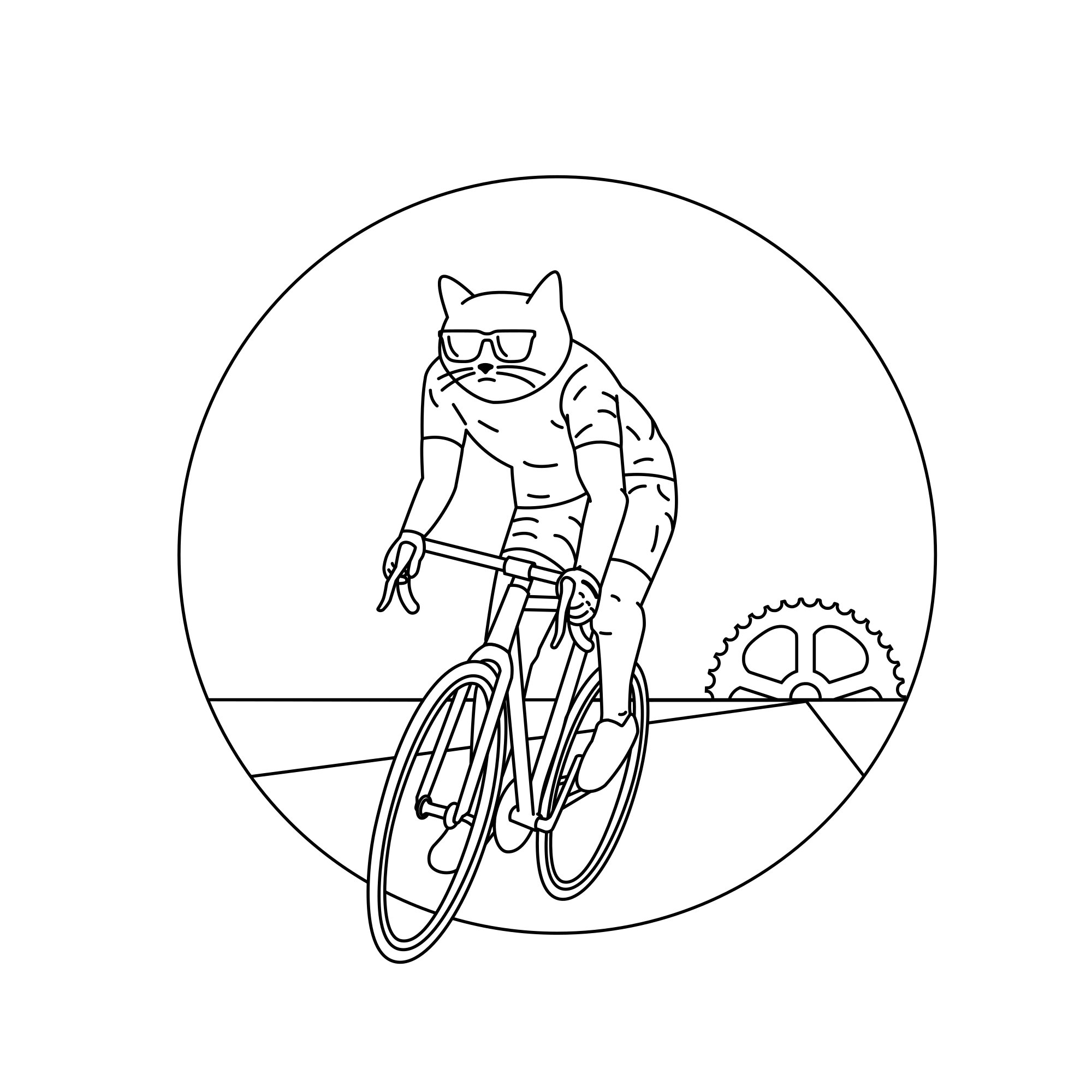 Кот на велосипеде