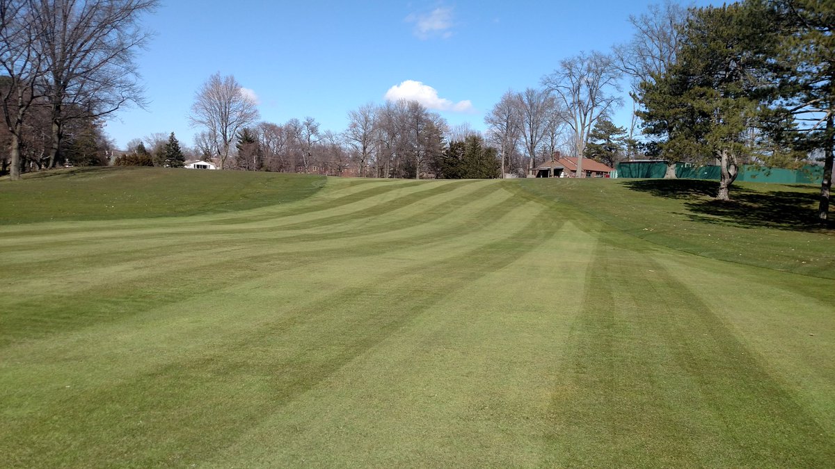 Shaker Turfgrass tweet media