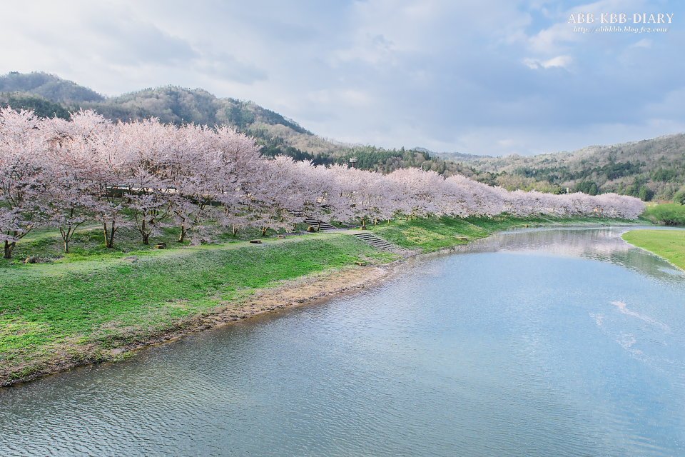 Abbkbb 白竜湖の桜 広島県 T Co Bnh4hy6wju いつか花火と桜に挑戦したいです 広島県 三原市 白竜湖 桜 T Co Hwzwcnffnt Twitter