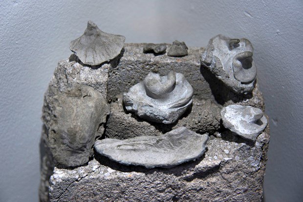 Check out more work by #Five2Watch artist <a href="/MitraSaboury/">ms</a>  <a href="/axisweb/">Axis</a> #Axisdirectory axisweb.org/p/mitrasaboury/