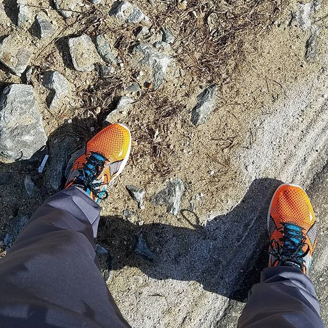WickedDecent's tweet photo. Clean air, new shoes, can lose #operationdoughymiddle #skechers #runmeb #mainerunning #northjaycircuitofchampionsandneerdowells https://t.co/EyYbidop2m https://t.co/rL7IxLbNGW