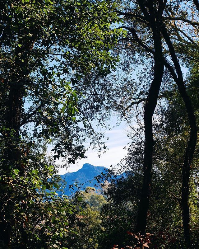 mistermettiu's tweet photo. La mia cornice preferita.
.
.
#sabaudia #igerslatina #igerslazio #igersitalia #scoprisanfelicecirceo #lazioisme #italiainunoscatto #italian_places
#browsingitaly #whatitalyis #collipontini #vacanzepontine #prettylittleitaly #italia360gradi #italianland… https://t.co/dxoqaDv48f https://t.co/NmBM0MqIFb