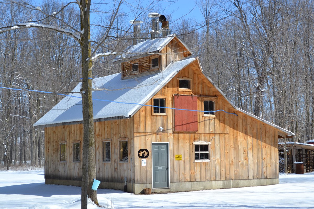 Fischerlind's tweet photo. The Sugar House sits quiet in anticipation of a major sap flow later this week. The winter wheat lies protected under this blanket of fresh snow. One of several conifer tracts on the hills of home farm...a natural resource presently storing carbon. The Saugeen R along our NE bdry https://t.co/arojdCYUmA