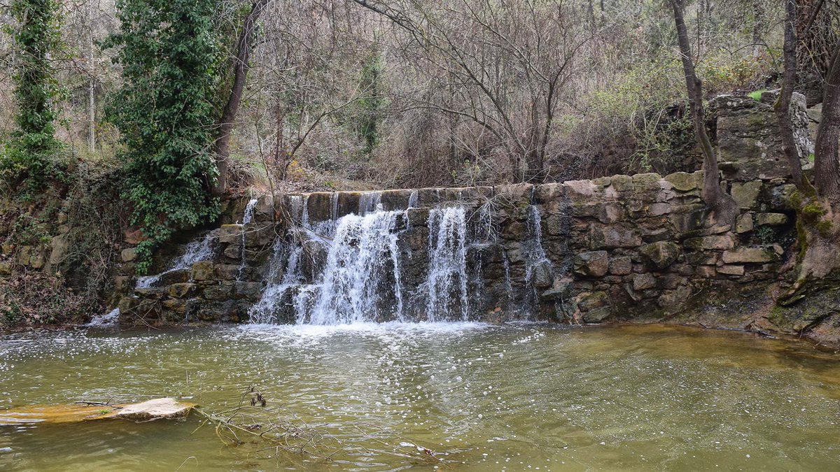 ramonsunyer's tweet photo. Rondant per les peixeres de la @valldellobregos a la #primavera, #FontdeFerro a la riera de #Sanaüja , #laiguaésvida #boranit, @aralleida @catexperience @catpaisatge @SomSegarra @caminsnatura @naturalocal @loCarranquer @lasegarra @aigua_cat @LleidaTV @CERCLEsegre https://t.co/a2imaWpY8C