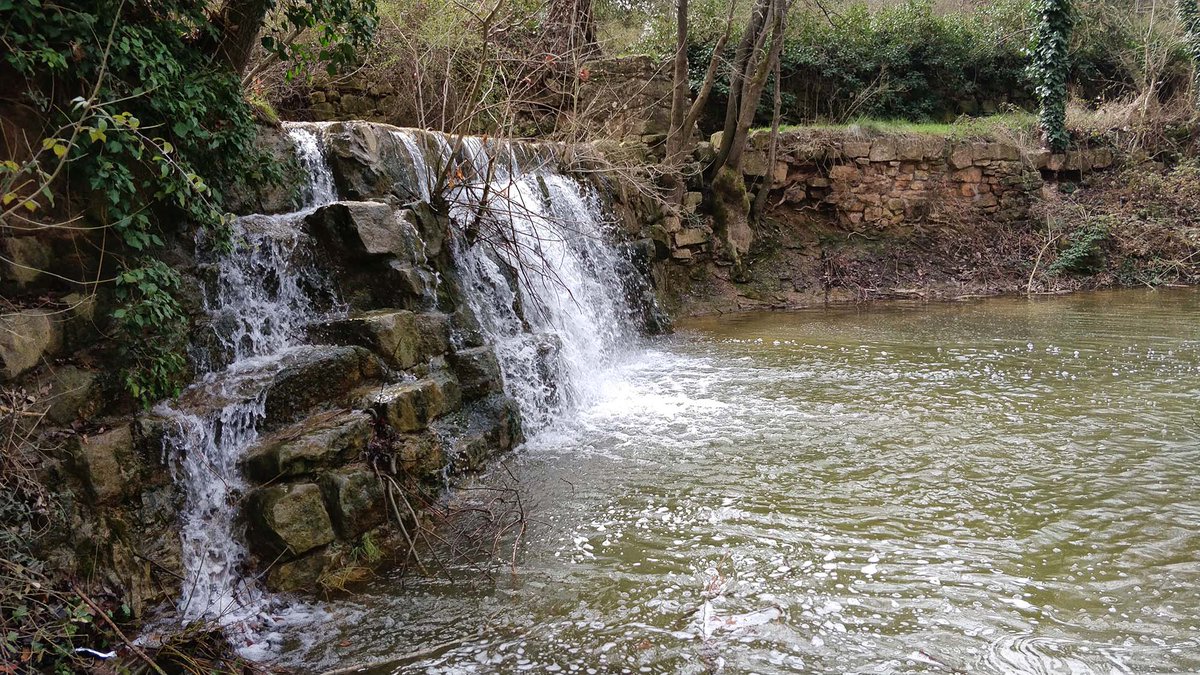 ramonsunyer's tweet photo. Rondant per les peixeres de la @valldellobregos a la #primavera, #FontdeFerro a la riera de #Sanaüja , #laiguaésvida #boranit, @aralleida @catexperience @catpaisatge @SomSegarra @caminsnatura @naturalocal @loCarranquer @lasegarra @aigua_cat @LleidaTV @CERCLEsegre https://t.co/a2imaWpY8C
