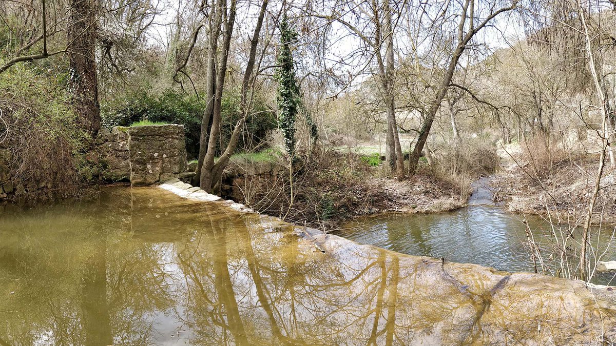 ramonsunyer's tweet photo. Rondant per les peixeres de la @valldellobregos a la #primavera, #FontdeFerro a la riera de #Sanaüja , #laiguaésvida #boranit, @aralleida @catexperience @catpaisatge @SomSegarra @caminsnatura @naturalocal @loCarranquer @lasegarra @aigua_cat @LleidaTV @CERCLEsegre https://t.co/a2imaWpY8C