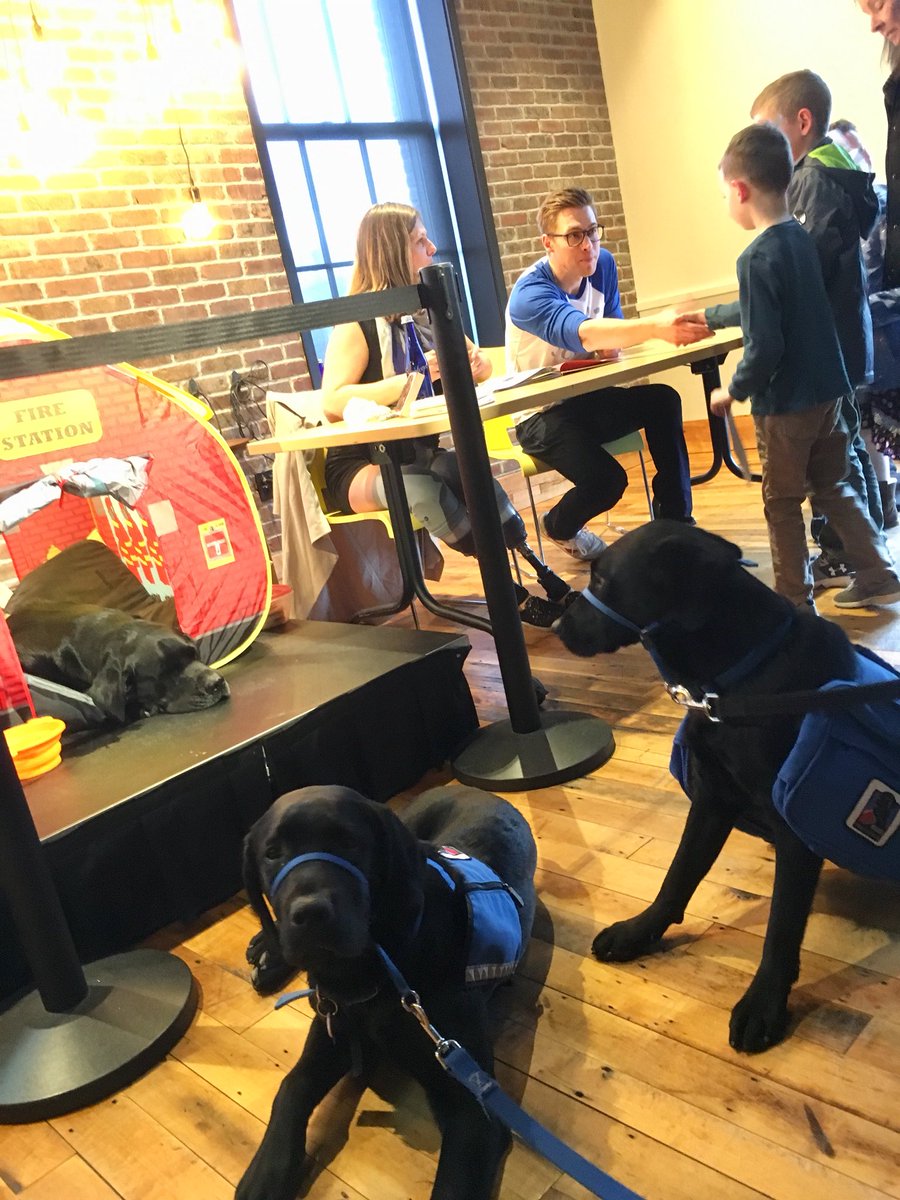 DougGrandin's tweet photo. @NEADSdogs in training Franklin and Heidi were inspired by meeting @rescueboston and his family today. They cant wait to make a life changing friendship with someone too! https://t.co/1zu7HXAyuW