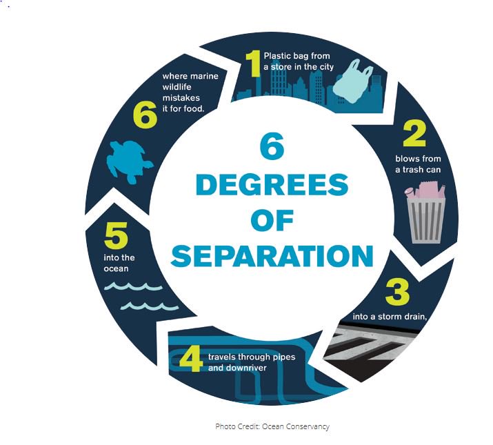 CleanIsland's tweet photo. Trash is just 6 degrees of separation from harming marine life. The degree of separation is much less when trash is left at the beach. https://t.co/5HI3iEPaq4