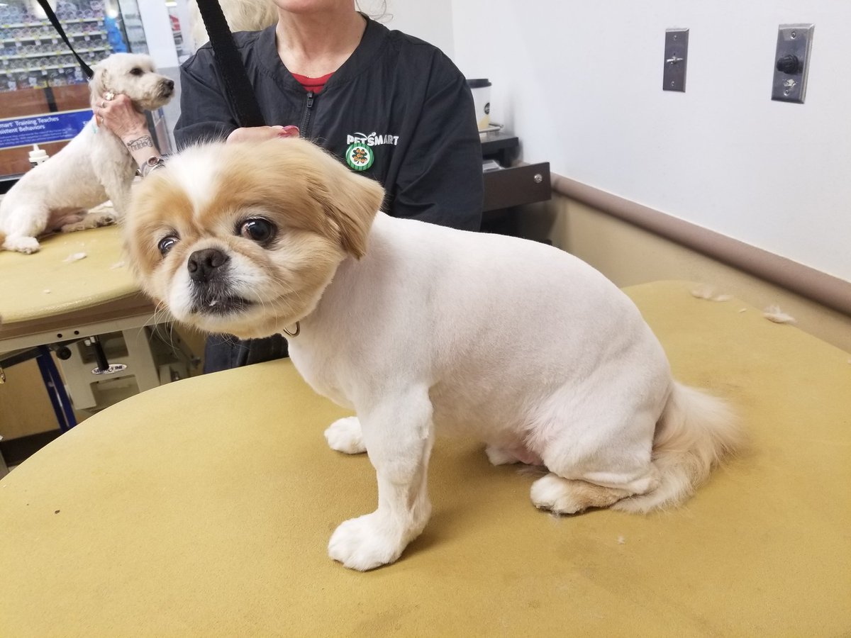 Jessica #1240 #NYC extreme makeover #northeastgrooming