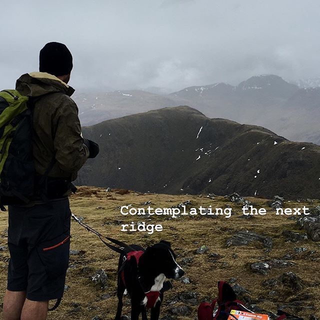 saltbythesea's tweet image. I spent the weekend a world away from speech therapy! There’s nothing like hiking up a hill to refresh your mind and return recharged, ready to throw your all into your work. #restandreflect