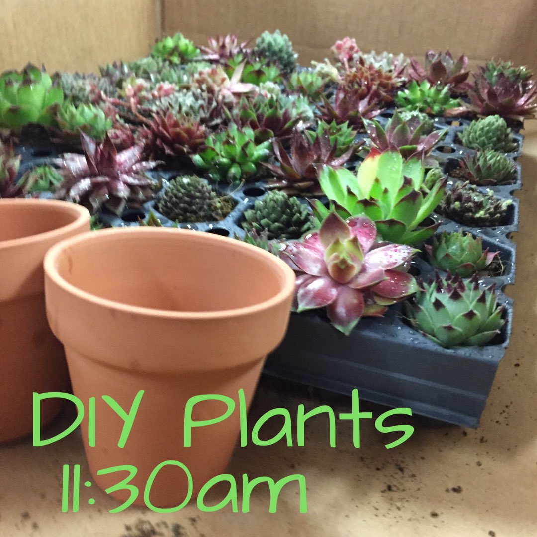 LamarUCAB's tweet photo. DIY Plants tomorrow!! Stop by and make a plant for your room! π€π±π #LUCAB https://t.co/JwnJddxpiL