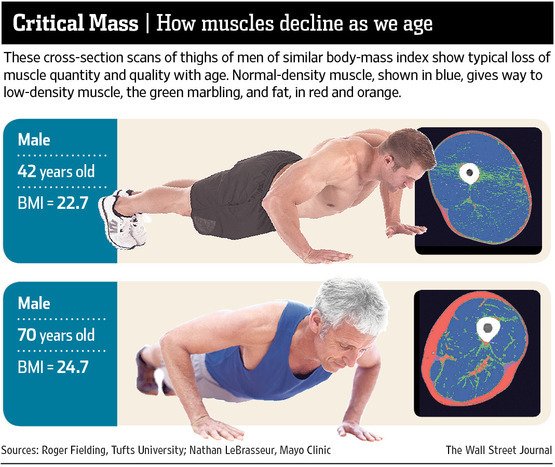 BodyworkNinja's tweet image. Compilation of Some of My Recent Postings on Musculoskeletal Wellness, With an Emphasis on Spine Health. bodyworkguru.wordpress.com/2018/04/08/com…