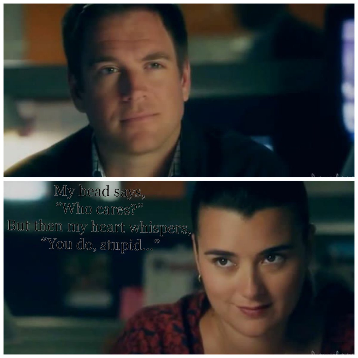 NCIS tweet media
