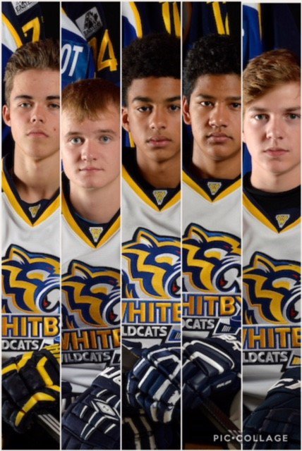 Whitby2002AAA's tweet photo. Congratulations to 5 of our players for being selected in the 2018 OHL draft
Christian Stevens 110th @SpitsHockey 
Ben Van Waterschoot 115th  @AttackOHL  
Myles Perry 168th @OHLSteelheads 
Isaac Sooklal 206th @SpiritHockey 
Mason Cowan 295th @AttackOHL 
#ohldraft #proud #ownit https://t.co/4AGqEoRls9