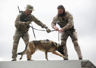 Veterans Council of Indian River County tweet media