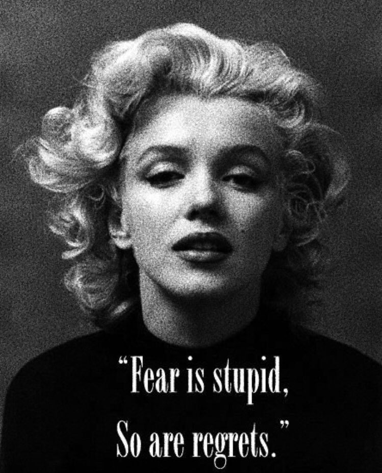 sofiaweidermann's tweet image. 