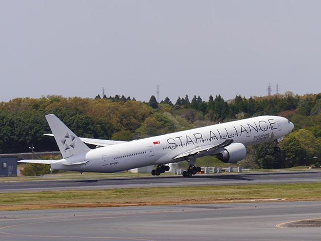 yossyB6's tweet photo. 白いスタアラさん。
.
#singaporeairlines 
#9vswi
#b777300er
#staralliance 
#nrt https://t.co/uGOhxm7BdS https://t.co/TrbCKJKRMY