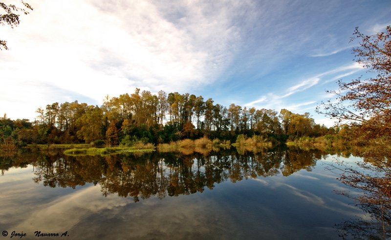 Hoy publicamos en el <a href="/austral_losrios/">Diario Austral</a> columna destacando la necesidad de proteger nuestros humedales y llamando a las autoridades a generar las acciones de fiscalización y cuidado que se requieren.  #Valdiviacl 
Link: australvaldivia.cl/impresa/2018/0…
