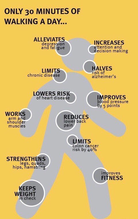 docandrewmurray's tweet photo. Only 30 minutes of walking a day.... https://t.co/8hSfMqVg43