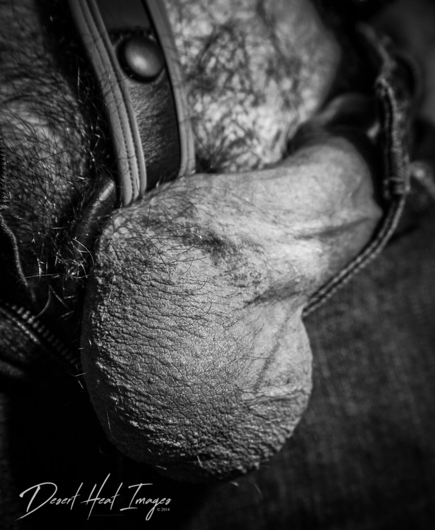 desertheatimage's tweet photo. sometimes you just have to make it black and white

#hairysack #hairy #furrystud #hairybear https://t.co/9DbzBSznTK