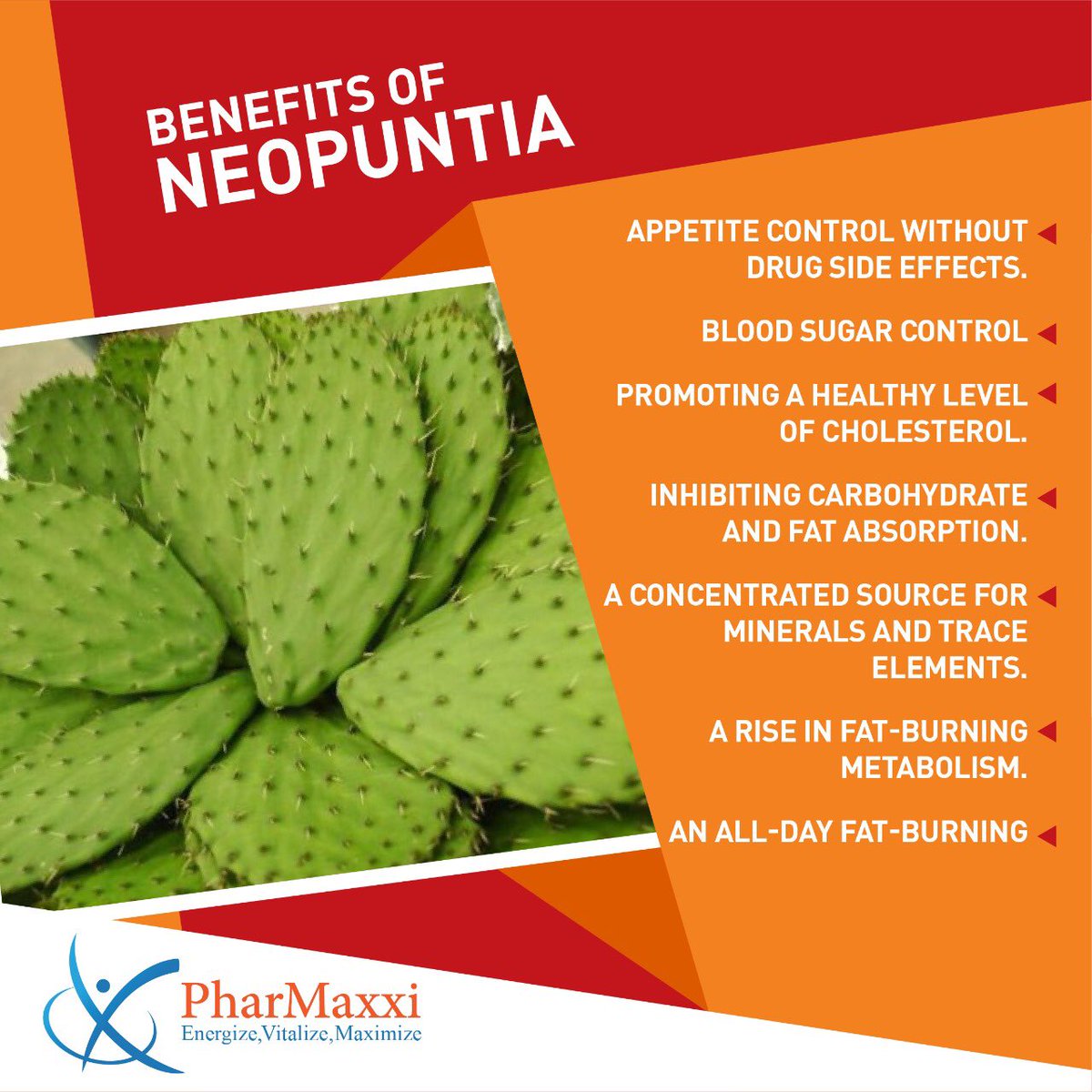 Pharmaxxi__'s tweet photo. #garcinia #health #weightloss #pharmaxxi #usa #uae #dubai #diet #killos #natural #herbal #clinics #dietician #doctors #hospitals #pharmacy #supplements #life #enjoy #perfectresult #month #respberry #coffee #weightloss https://t.co/2we1bRuILM