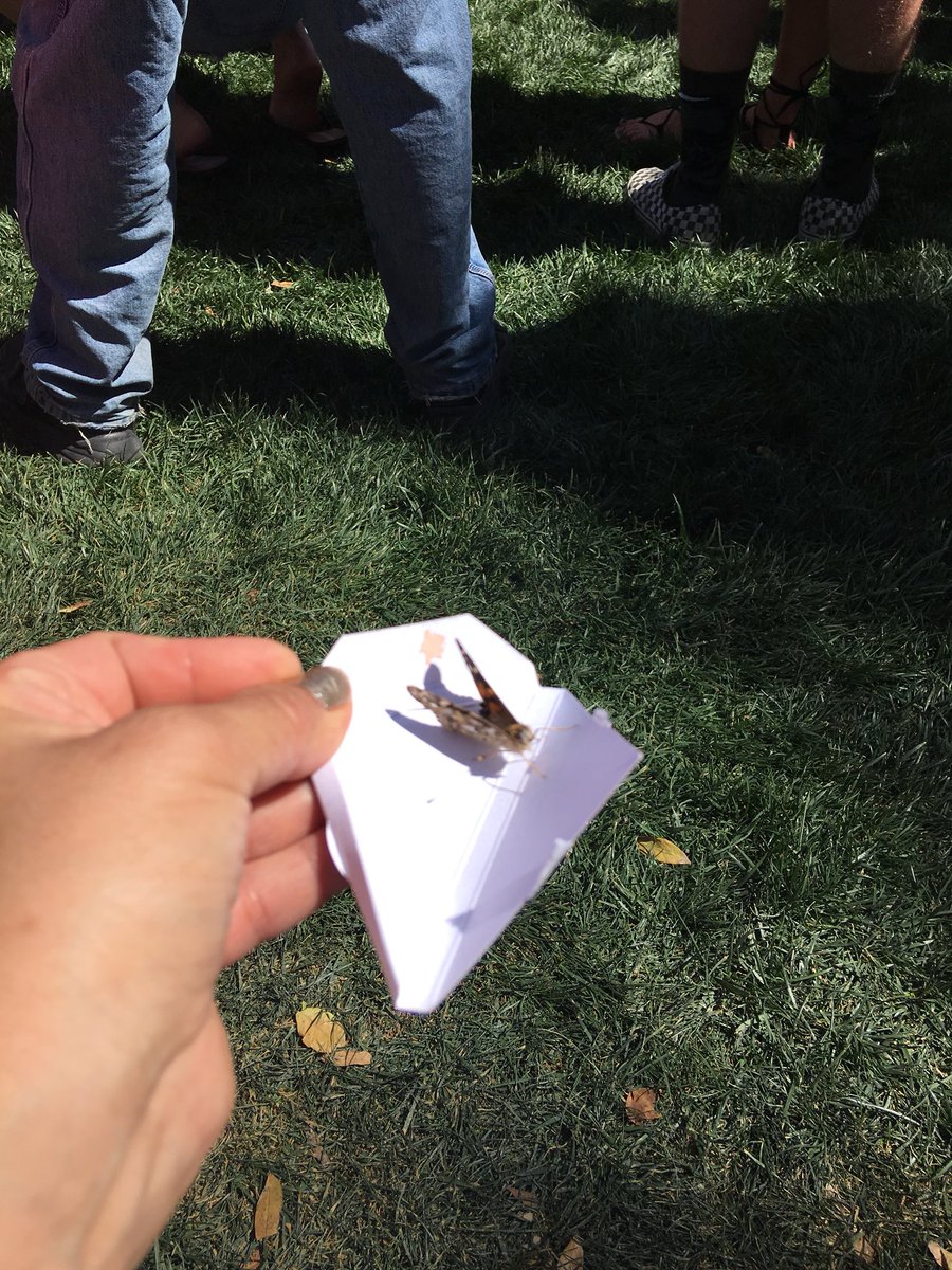 For Cameron❤️ #vegasStrong #butterflyrelease #neverforget