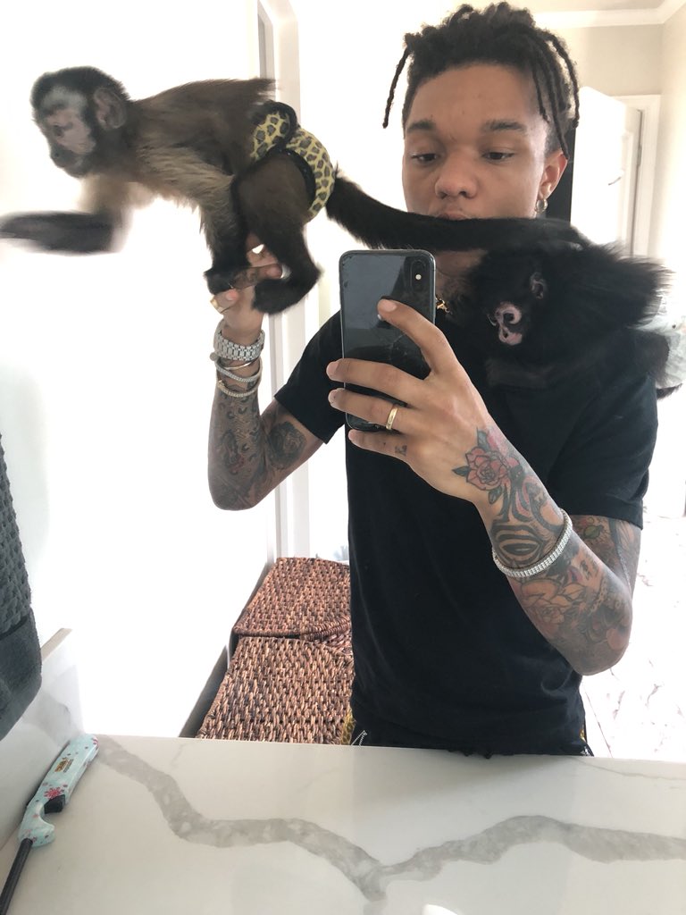SwaeLee's tweet photo. Monkey sitting 🐒🙉🐵 https://t.co/rrSivH9gQY