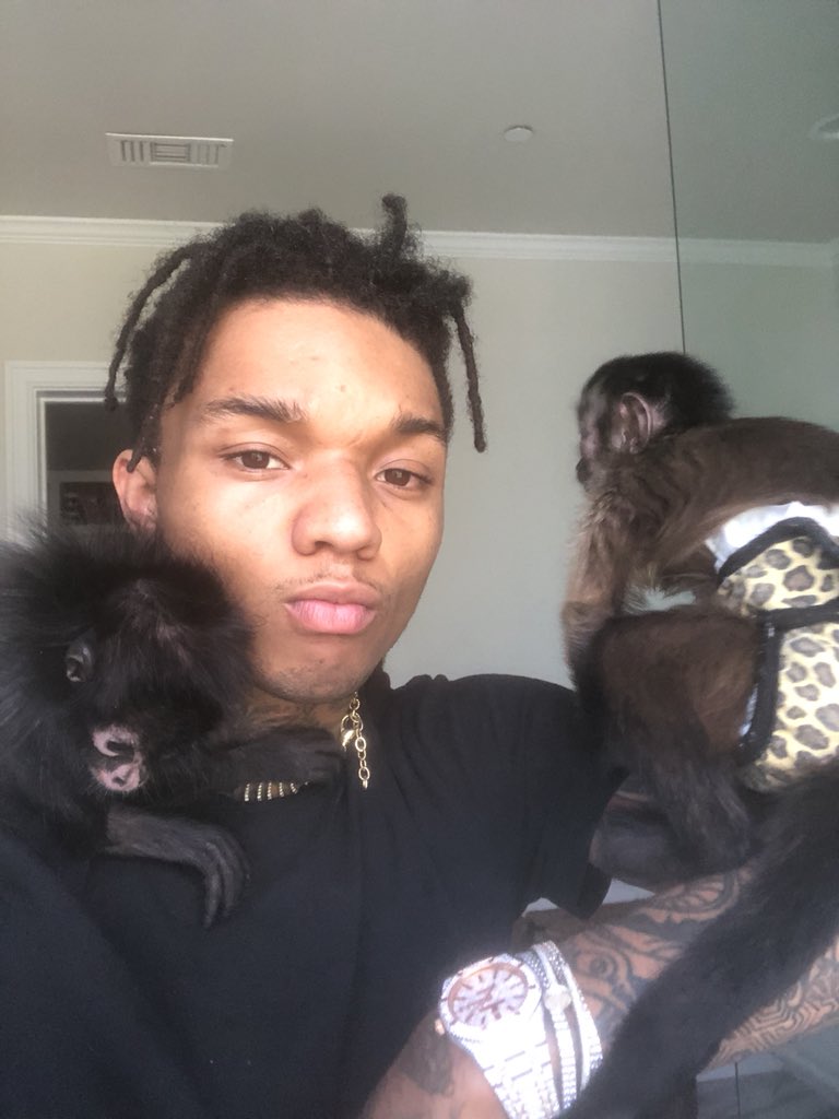 SwaeLee's tweet photo. Monkey sitting 🐒🙉🐵 https://t.co/rrSivH9gQY