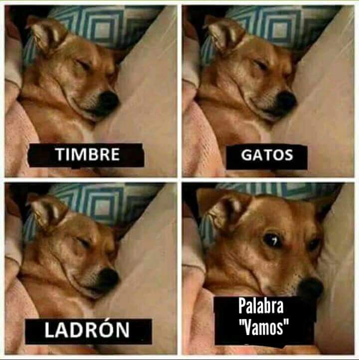 LautiGabri's tweet photo. JAJAJAJAJA REAL https://t.co/lmP9jMEUdB