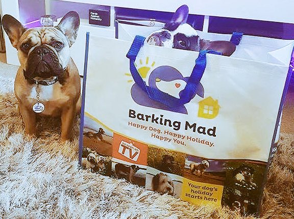 At #BarkingMad #Bromley our doggy customers can't wait to get packing for their #dogholidays. We provide home from home #dogsitting, offering a 5* service so you don't have to worry. Happy dog. Happy holiday. Happy you! 01959 422002 #BeckbromFL