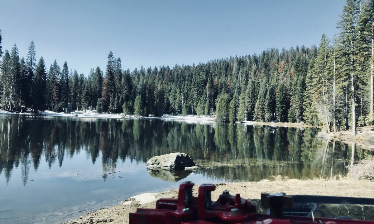 rpx53's tweet photo. Great time with Bear at sequoia national Forest🐾🌲⛰ @THEJeepMafia @Jeep @RayGunVoss @w6fu @_Truck_Norris_ @DelainecCassier @29kyle29 @Kirby98tj @KricketJeeper @SouthernGirl281 @gypsyjeeper17 @BonhamChrysler2 @milania1997 @gle327 @JosephPallotta @kyjeepmom @TheMudYeti @louly34 https://t.co/MN7Snfejsk