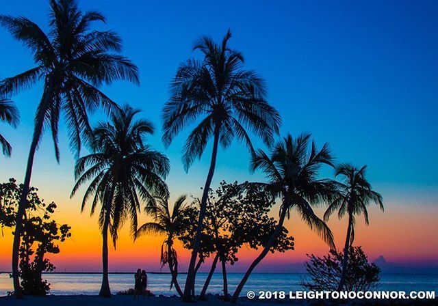 leightonoc's tweet photo. #idontwanttocomeback #sunset #floridasunset #keywestsunset #paradise #photographersparadise #workingvaca #workingonthebeach #kw #keywest #fla #thekeys #florida https://t.co/Sx4zUUcBtr