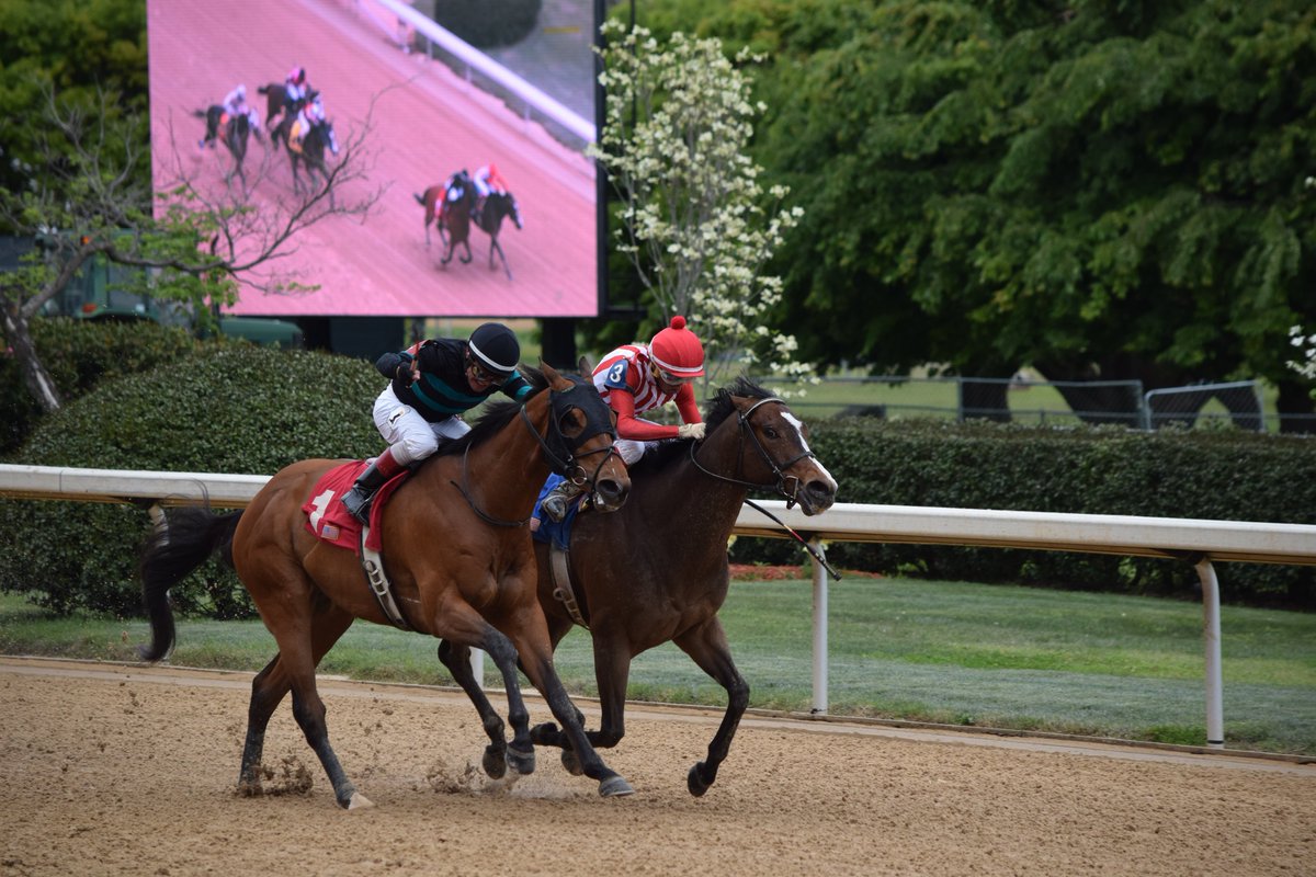 RobertYates1982's tweet photo. Dupree - named for the great Marcus Dupree - outlasts local win machine Abbaa (on the rail) to win R7 @OaklawnRacing. @johnnyortiz24 beats his former horse; 668th career OP victory for the ageless Jon Court. https://t.co/3QIGYpgjr1