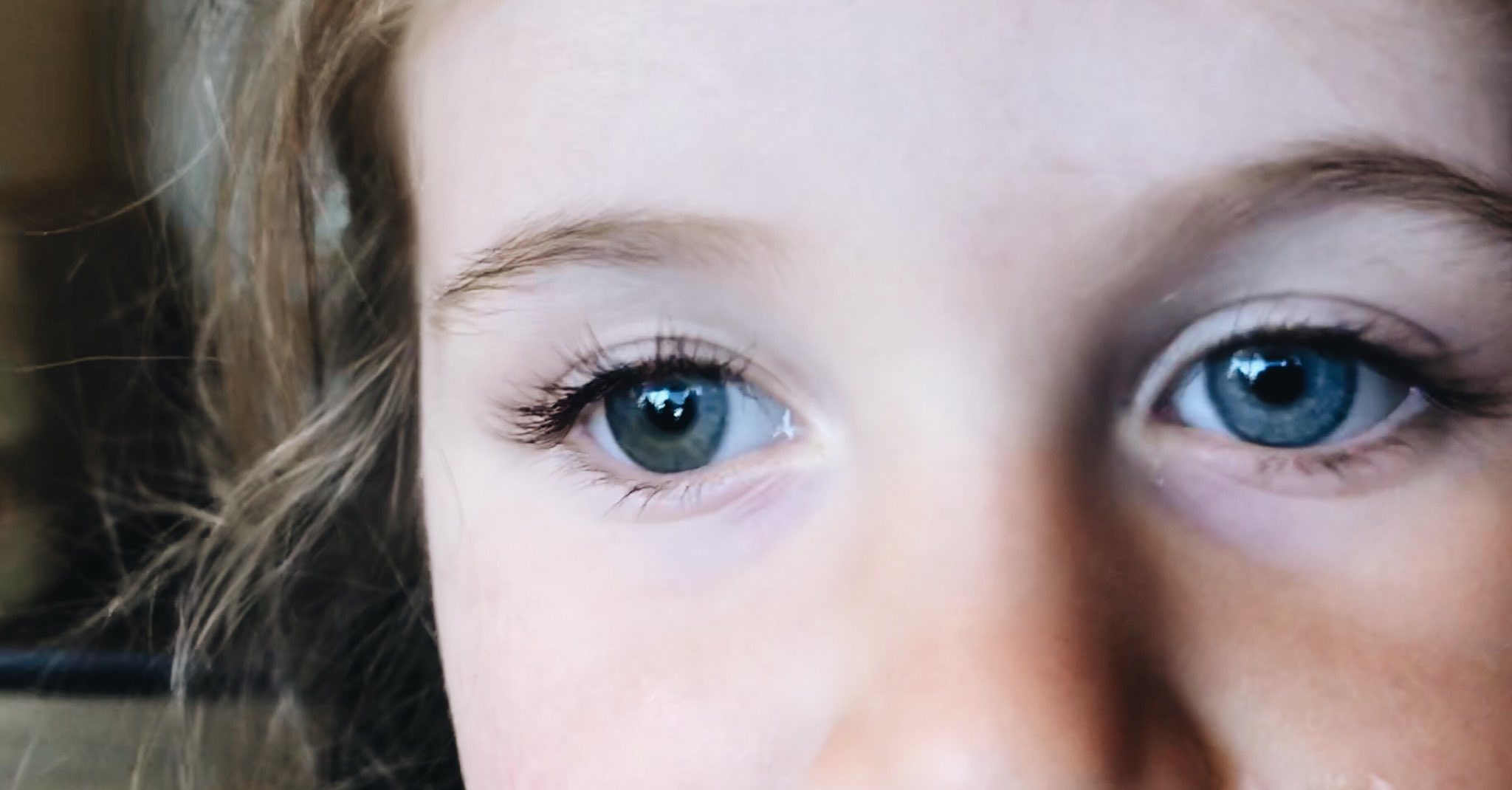 Ben Arment Dinner Date With My Sweet Two Year Old Who Got The Heterochromia Trait One Green Eye One Blue Eye T Co Jwejgzo8nr Twitter