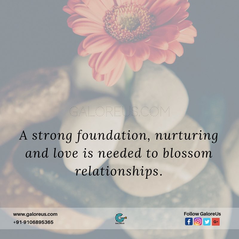 GaloreUs's tweet photo. A #strongfoundation, #nurturing &amp; #love is needed to #blossom #relationships.
#galoreus #relationshipgoals #relationship #patience #lifeisbeautiful #connections #positivevibes #positivity #relationshipsbelike #theyarelivingbreathingsouls #twototango #lifeisbeautiful #happiness https://t.co/uqXEqWwlNz