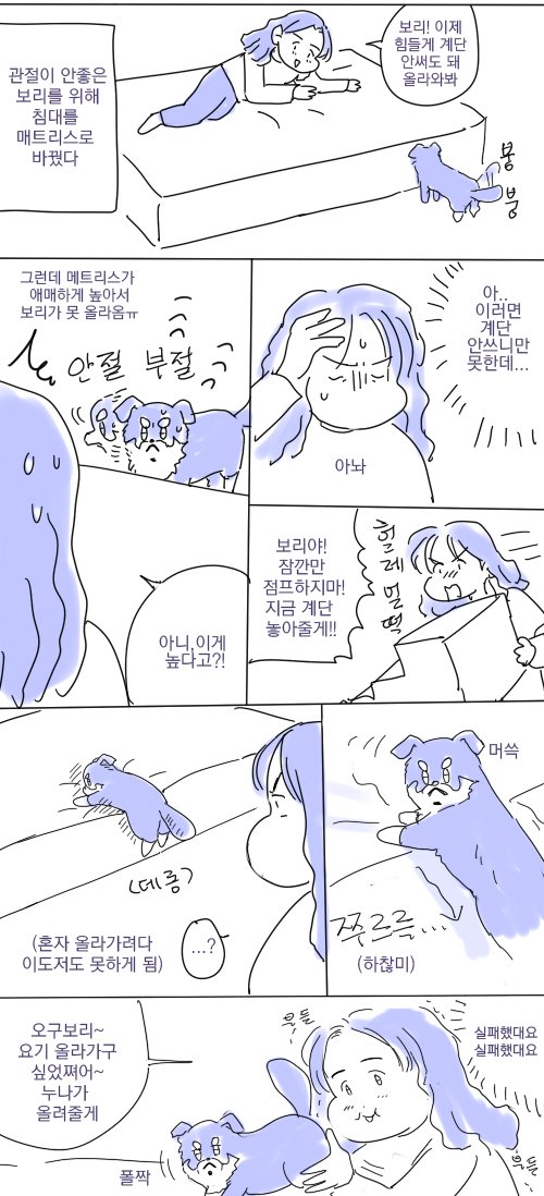 뽀스래기 보리일기ㅋㅋ 