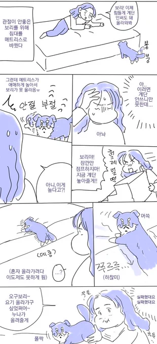 뽀스래기 보리일기ㅋㅋ 