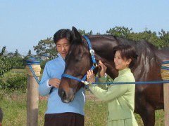 馬と遊ぶ「FARM RESORT ONJUKU 」 tweet media