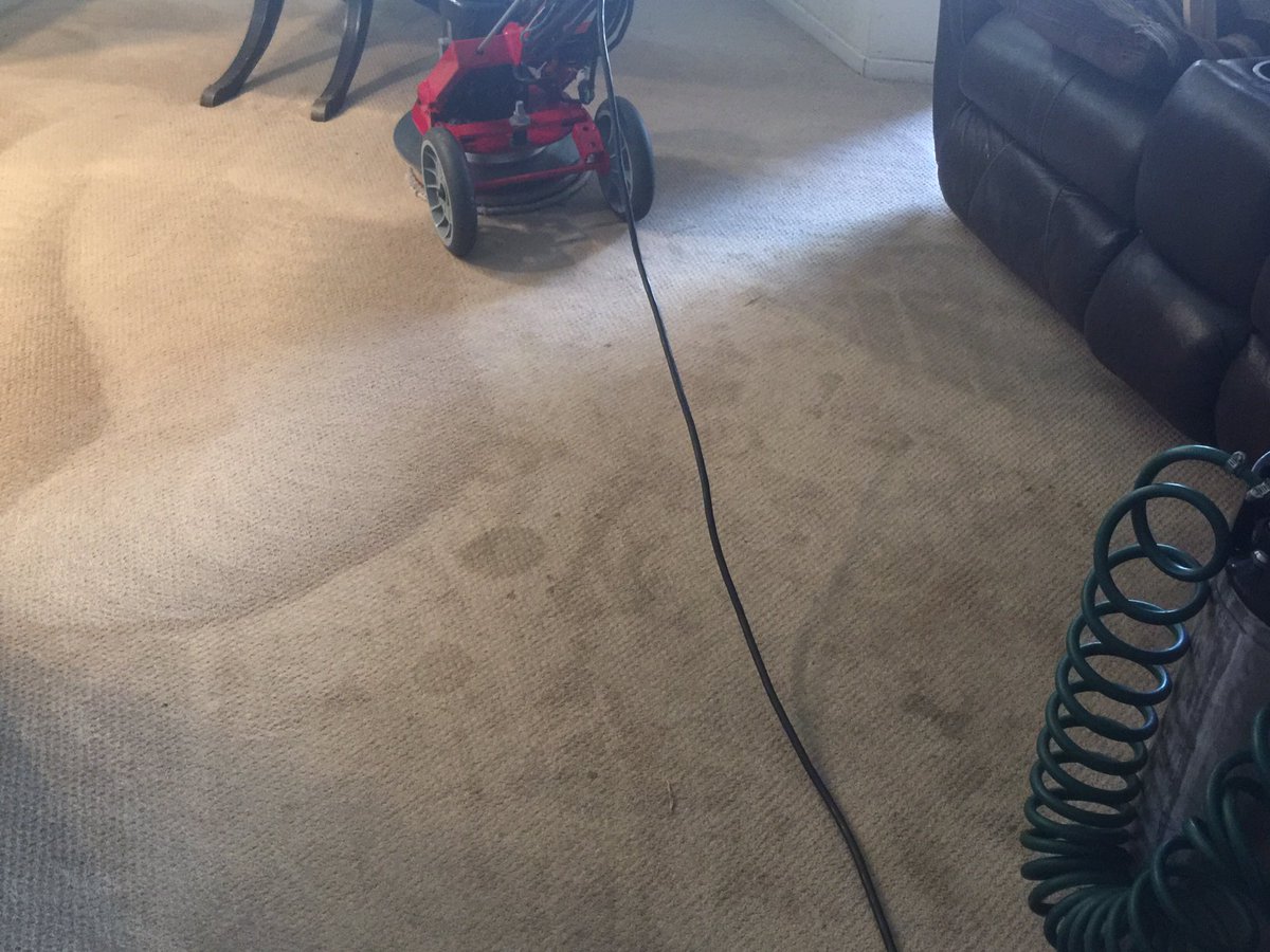 CarpetCannon's tweet photo. Pet stains and odor, all gone https://t.co/f2agkSX1wA
