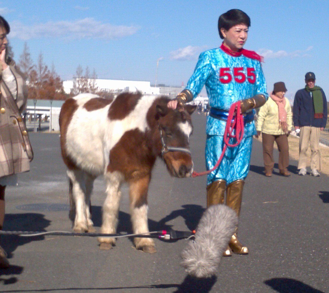 馬と遊ぶ「FARM RESORT ONJUKU 」 tweet media