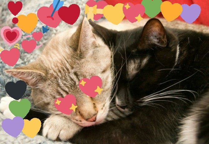 [ TEXT to: <a href="/SkiesCafune/">✄┉℣┉</a> ]

< What do you think? >
< This image made you come to mind. >