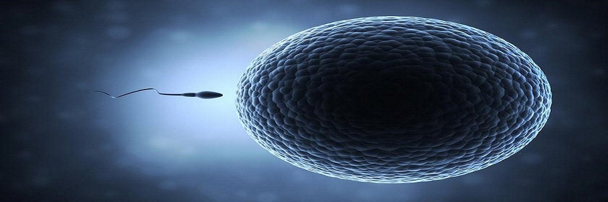 epigeneticscon's tweet photo. 5th World Congress on #Epigenetics and #Chromosome: Role of epigenetics in keeping #egg_cells fresh.
For more: https://t.co/OIE6ymozHq
To discuss Epigenetics: https://t.co/d9aNEkLHpr https://t.co/quQtADrksB
