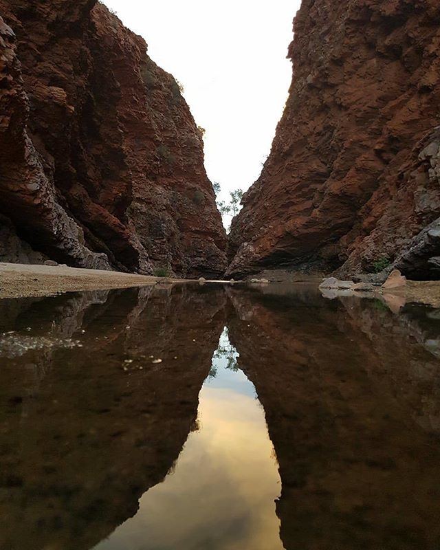 How stunning is this mirror reflection?! 😍

📷 jenbobz88 
📍 Northern Territory, Australia #contiki
