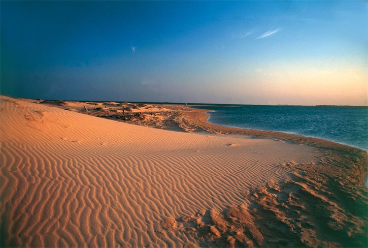 DokoToday's tweet photo. La Guajira Peninsula in Colombia
#dokotoday #nature #nationalPark #holiday #travel #instatravel #travelphotography #travelling #instagood #amazing #love #followme #旅 #旅行 #写真 #여행에미치다 #해외여행 #여행스타그램 #세계여행 #Colombia #콜롬비아 #コロンビア https://t.co/gOlJKkALnd