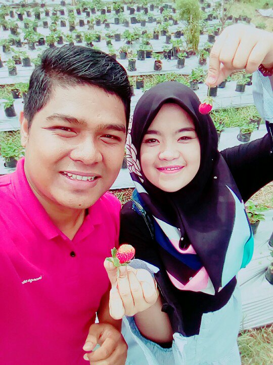 hendry_ben's tweet photo. Petik strowbery langsung dr kebun. Weeehh segerrr. https://t.co/IJp1p9yctK