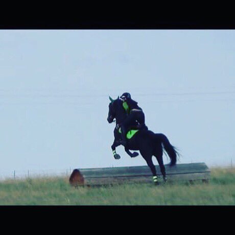 RideOnEventing tweet picture